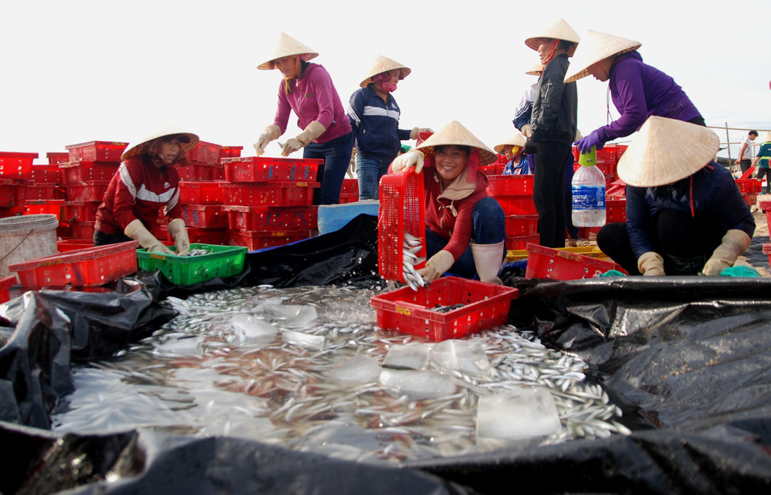 Nụ[-]cười[-]hồi[-]sinh[-]từ[-]vùng[-]biển[-]chết
